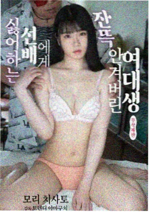 都市情感剧